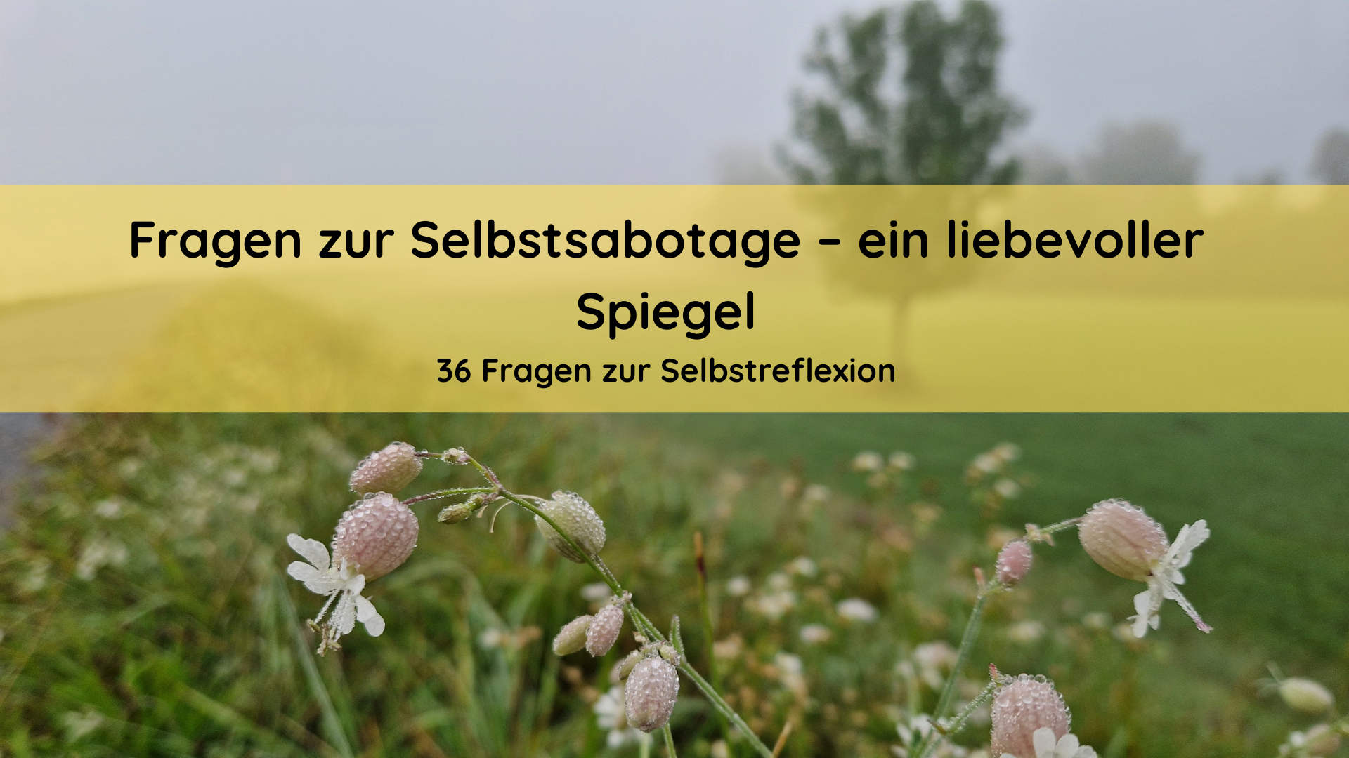 Fragen zur Selbstsabotage – ein liebevoller Spiegel